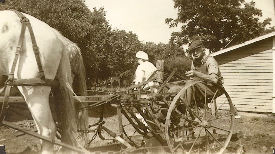 Koerndert (Con) Haveman - Plowing