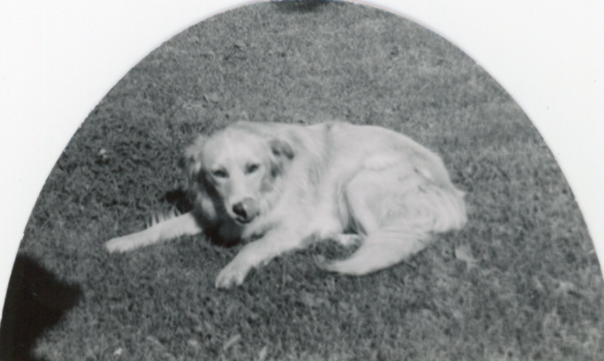 DeKruyter, Unknown - ™Photo, Lady, 1950