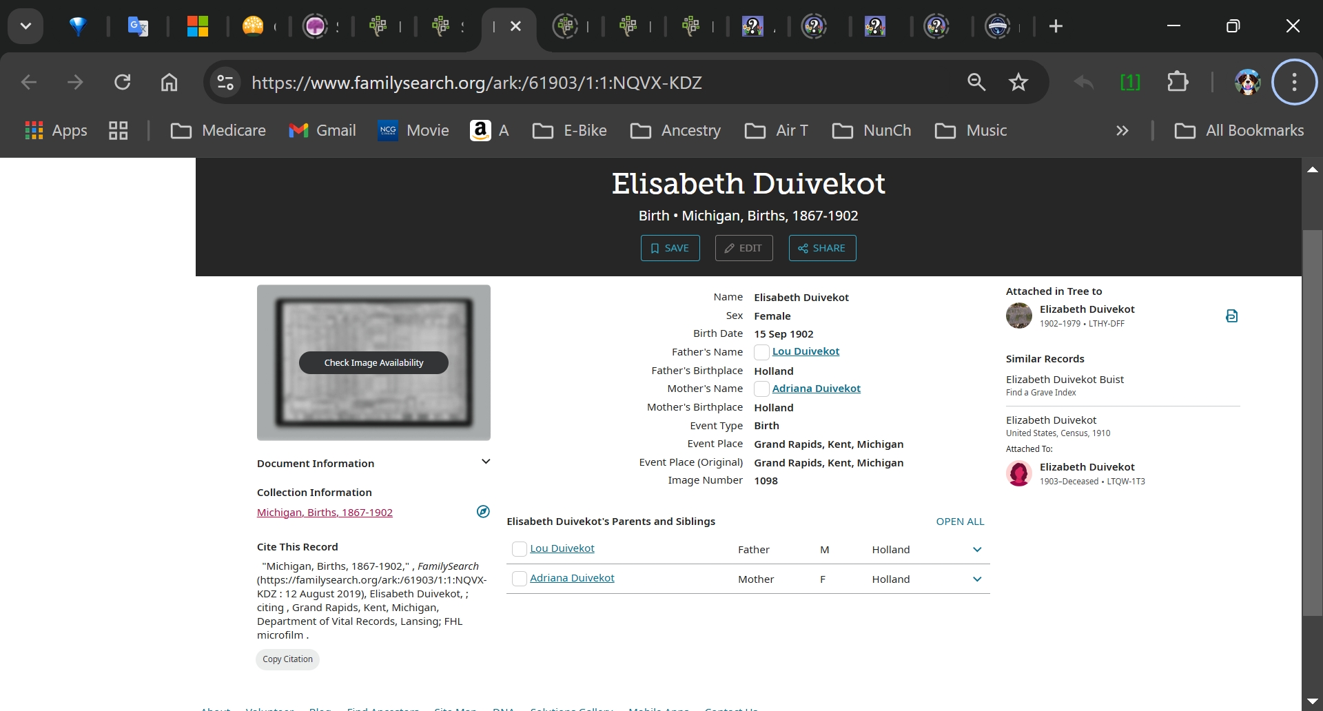 Elizabeth Duivekot - Birth Index 2-15-1902